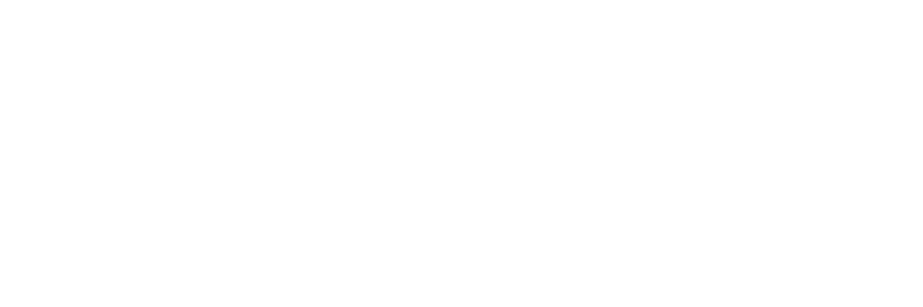 Totaal Advies Nederland